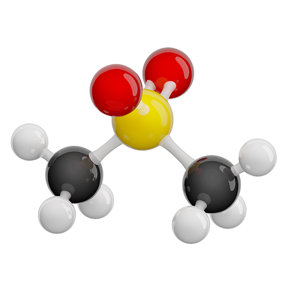 Methylsulfonylmethane (MSM) molecule