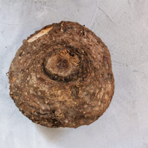 Glucomannan – Elephant Yam Whole raw elephant yam on a gray background.