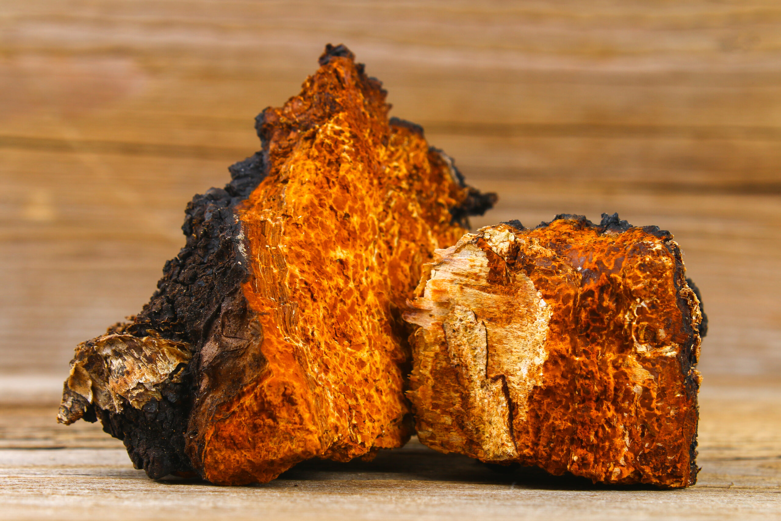 Chaga Mushroom Powder