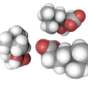 L-carnitine L-carnitine molecular structure