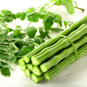 Moringa Oleifera stalks and leaves on a white background.