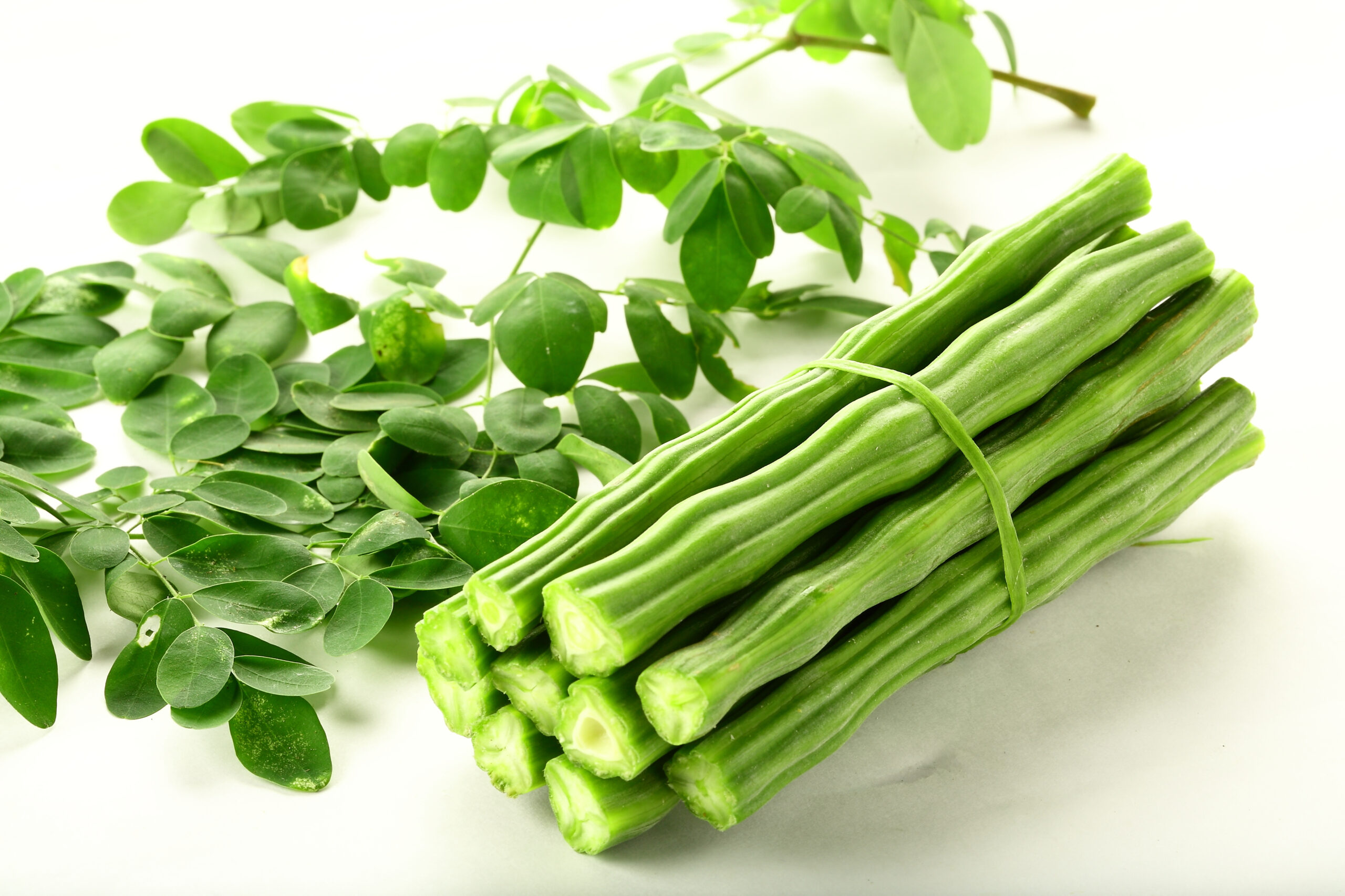 Moringa Oleifera stalks and leaves on a white background.