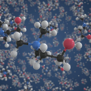 Choline Molecule Choline Molecule