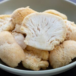 Fresh Lions Mane in a bowl on a blue background