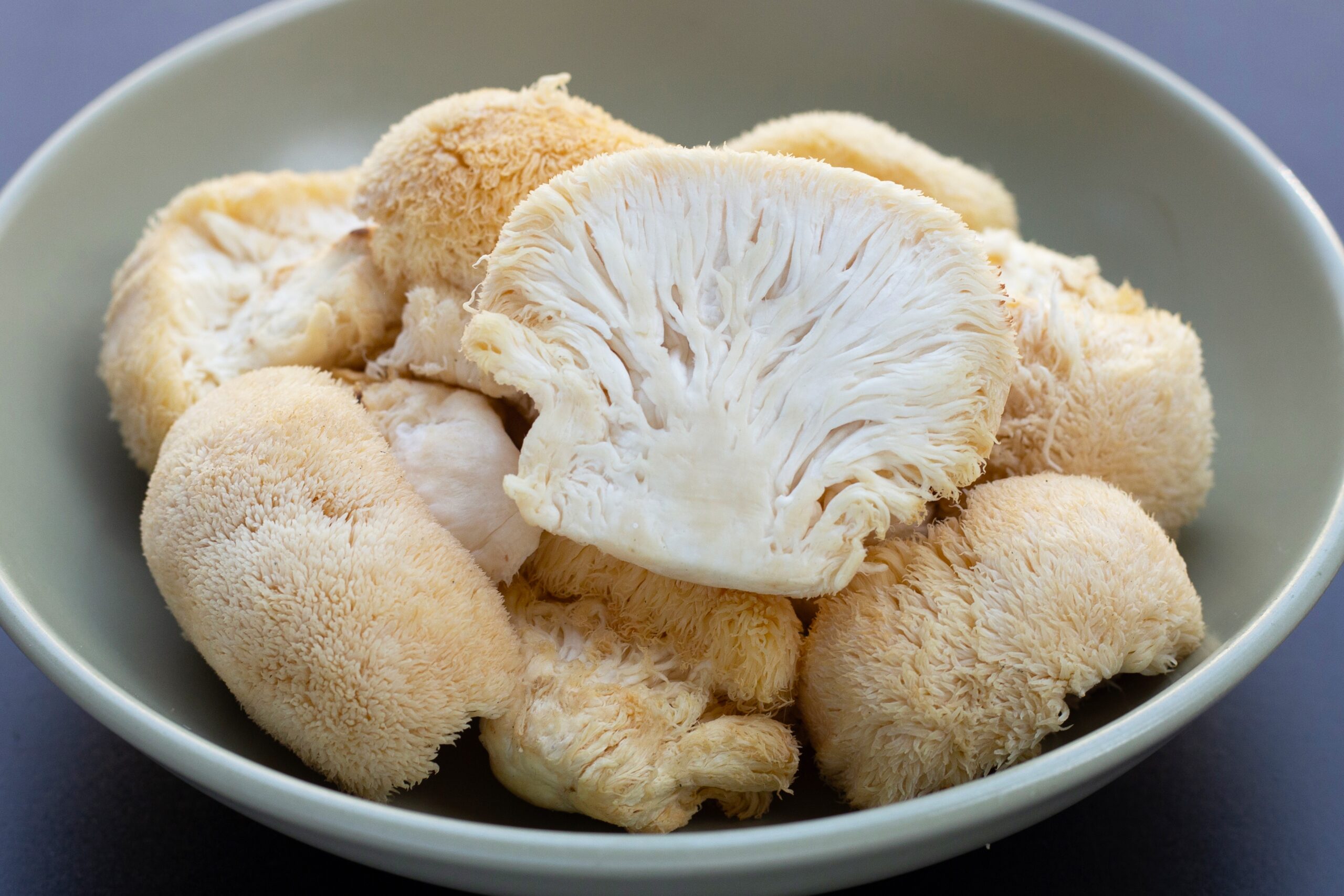 Fresh Lions Mane in a bowl on a blue background