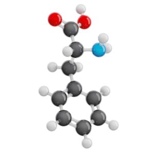 Phenylalanine molecule