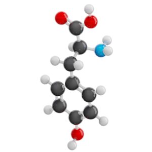 Tyrosine molecular structure