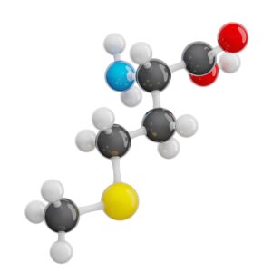 L-Methionine Methionine molecular structure.