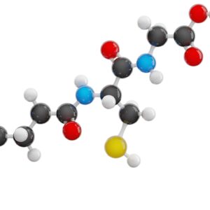 Glutathione molecule 3D model