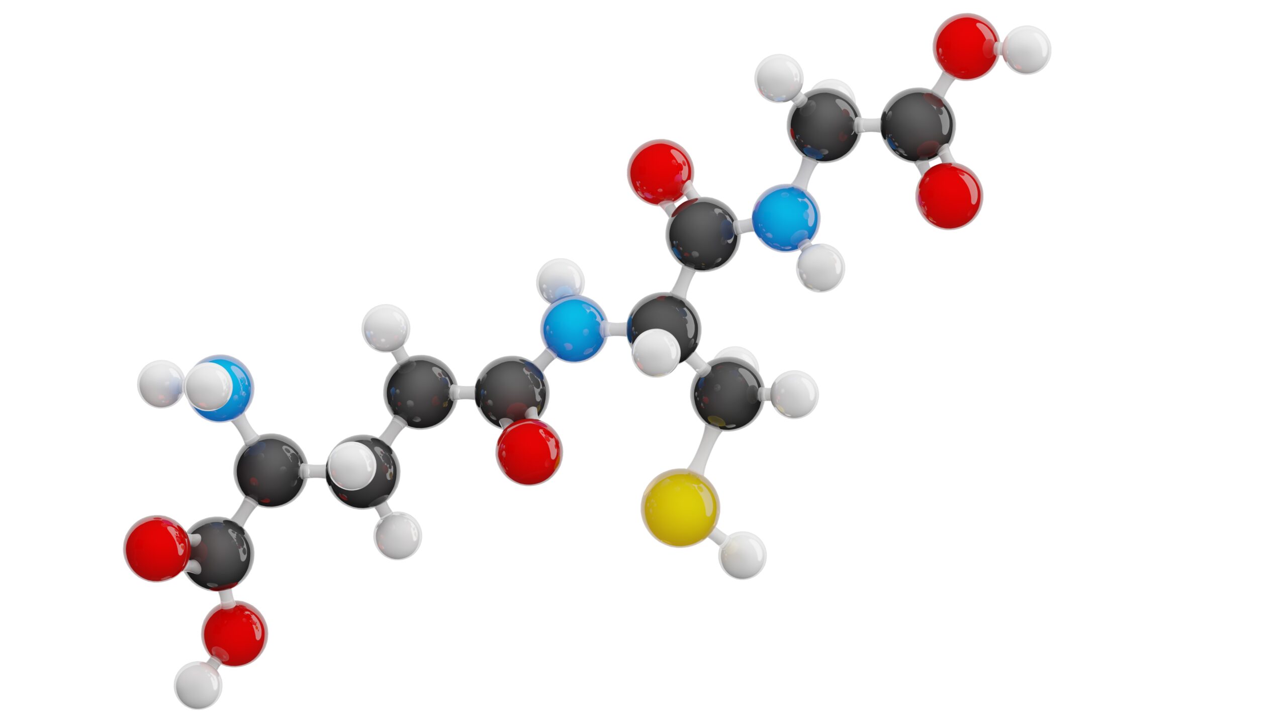 Glutathione molecule 3D model