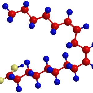Conjugated Linoleic Acid (CLA) molecular structure