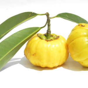 Close,Up,View,Of,Garcinia,Cambogia,”,Gelugur”,Isolated,On Garcinia Cambogia, hydroxycitric acid (HCA)