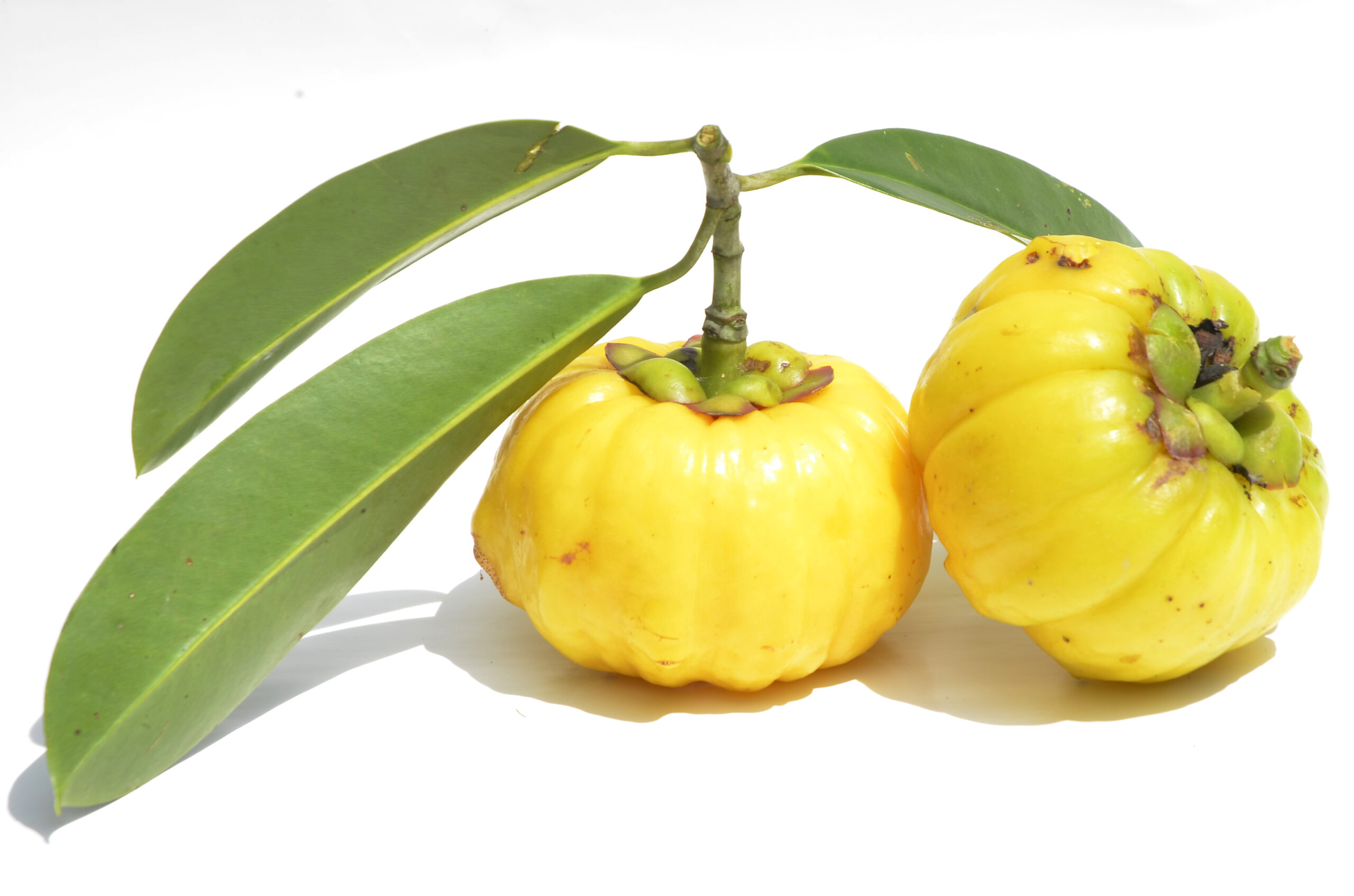 Garcinia Cambogia, hydroxycitric acid (HCA)